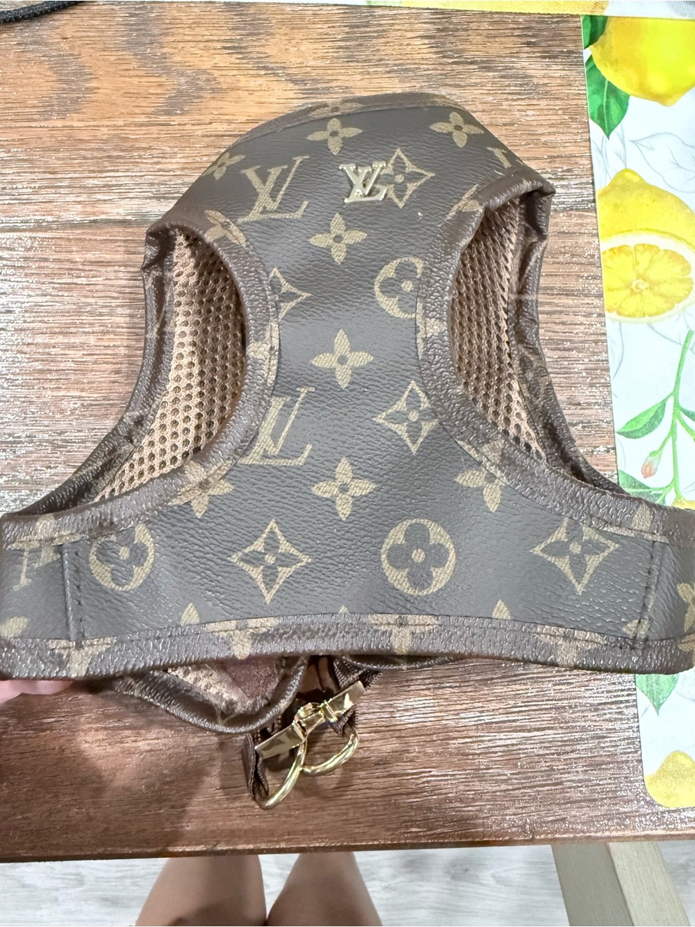 Designer-Inspired Brown dog harness with Gold Hardware